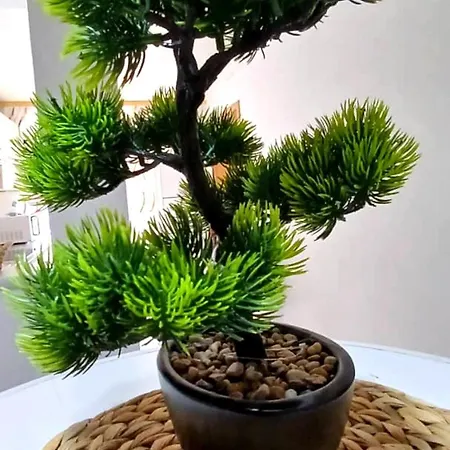 White Haven Lägenhet