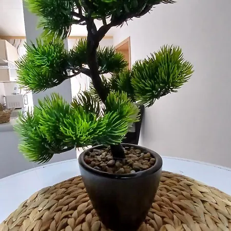 Lägenhet White Haven Ebhausen