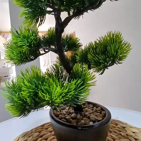 White Haven Ebhausen